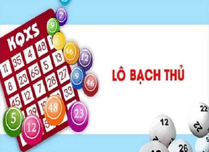 lo bach thu la gi